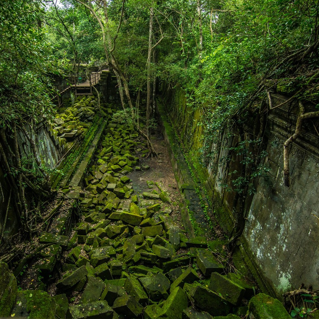 Colagem de mídia