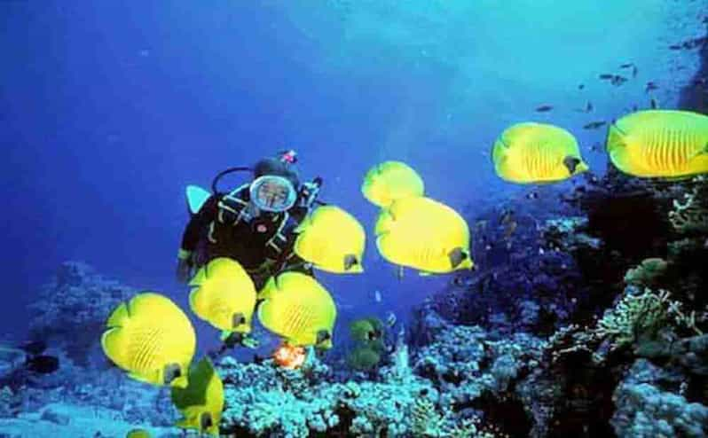 Scuba Diving From Antalya | GetYourGuide