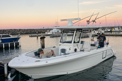 Waianae, Oahu: Swim with Dolphins (Semi-Private Boat Tour) Waianae, Oahu: Swim with Dolphins (6pax luxury power boat)