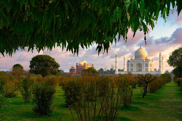 De Delhi: viagem de um dia ao Forte Taj Mahal-Agra de trem expressoPasseio com Cadeira AC, Almoço e Guia