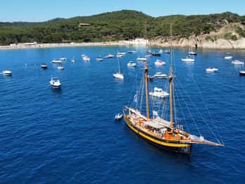 From Palamos: Scenic Boat Trip to Calella de Palafrugell