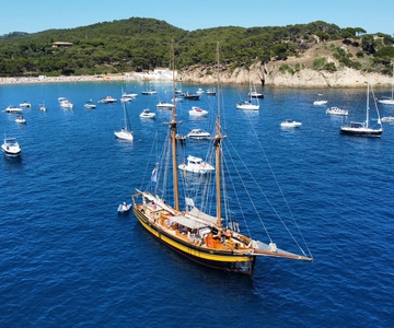 From Palamos: Scenic Boat Trip to Calella de Palafrugell