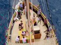 From Palamos, Scenic Boat Trip to Calella de Palafrugell - Housity