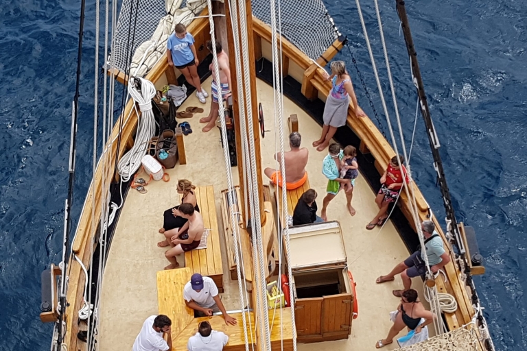 Desde Palamós: Excursión panorámica en barco a Calella de Palafrugell