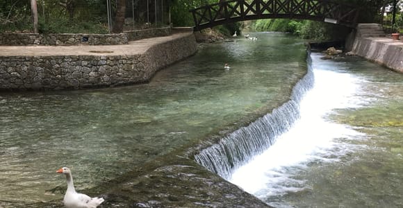 Chania Villages Private Tour: Entdecke das authentische Kreta!