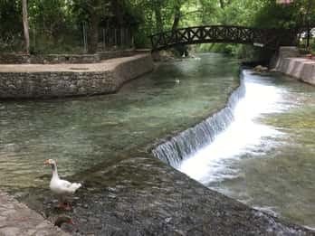 Chania Villages Private Tour: Explore the Authentic Crete!