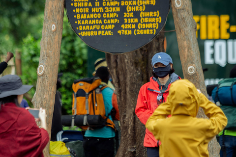 Moshi: Kilimanjaro Marangu or Shira Route Day Hike Moshi: Kilimanjaro Marangu Day Hike with Lunch