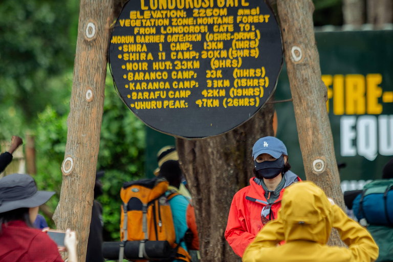 Moshi: Kilimanjaro Marangu or Shira Route Day Hike Moshi: Kilimanjaro Marangu Day Hike with Lunch