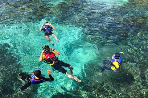 Hurghada: Snorkeling i parasailing z lunchem i napojami