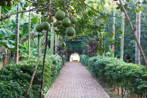 Um dia tranquilo no vilarejo de Thuy BieuAula de culinária na vila de Thuy Bieu