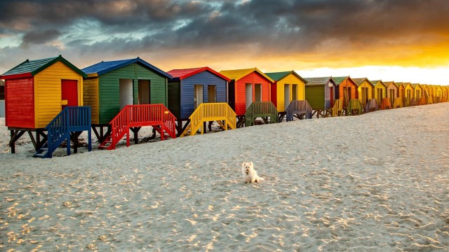 Cape Town: Full-Day Cape Peninsula Tour with Transfers