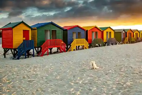 Cape Town: Full-Day Cape Peninsula Tour with Transfers