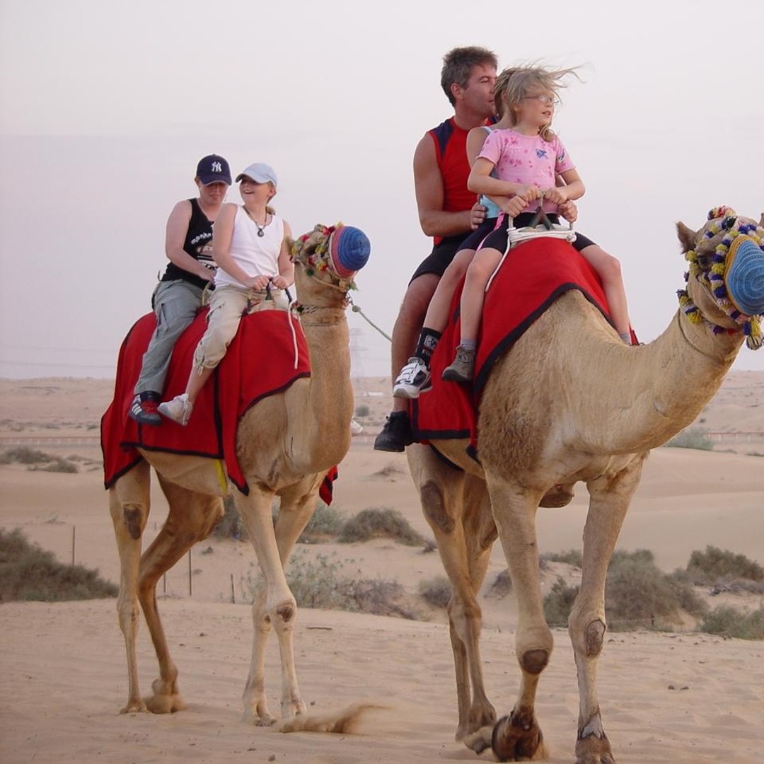Agadir : Promenade à dos de chameau sur la rivière Flamingo et barbecue en option