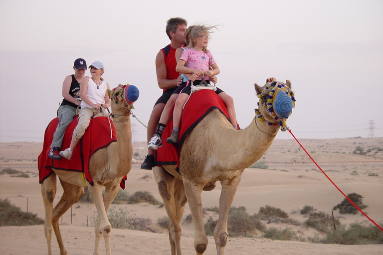 Agadir: Flamingo River Camel Ride met optionele barbecue