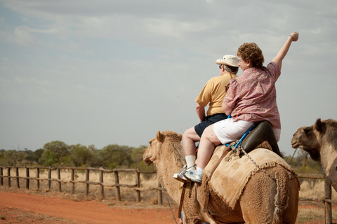 Agadir: Flamingo River Camel Ride met optionele barbecue