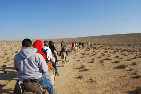 Agadir: giro in cammello sul fiume Flamingo con barbecue opzionaleTour senza cena barbecue