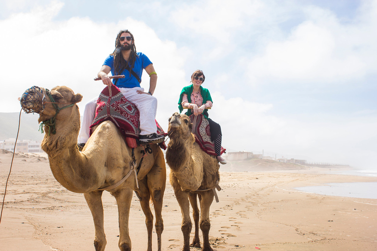 Agadir : Promenade à dos de chameau sur la rivière Flamingo et barbecue en optionTour sans dîner BBq