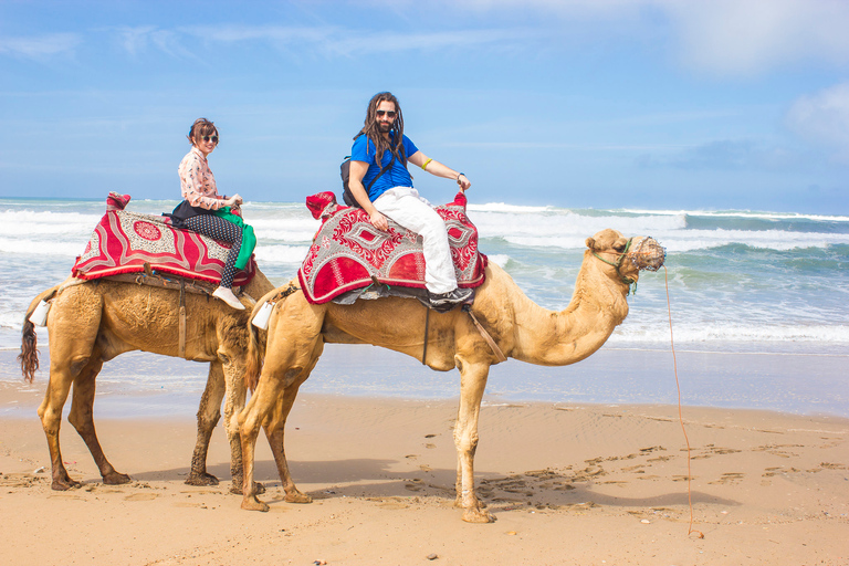 Agadir : Promenade à dos de chameau sur la rivière Flamingo et barbecue en option