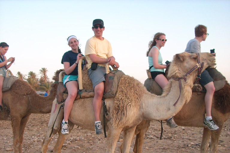 Agadir: Flamingo River Camel Ride w/Optional BBQ Tour Without BBq Dinner