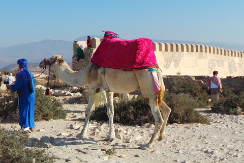 Agadir : Promenade à dos de chameau sur la rivière Flamingo et barbecue en optionTour sans dîner BBq