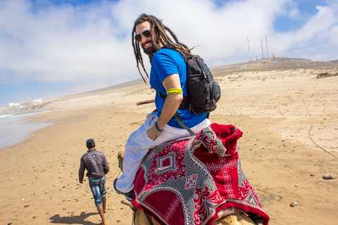 Agadir : Promenade à dos de chameau sur la rivière Flamingo et barbecue en optionTour sans dîner BBq