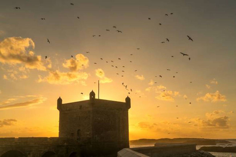 Essaouira: Excursión de un día desde Marrakech con transporte