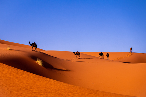 Da Casablanca: momenti salienti del tour privato di 10 giorni in Marocco