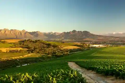 Full-Day Cape Winelands Tour