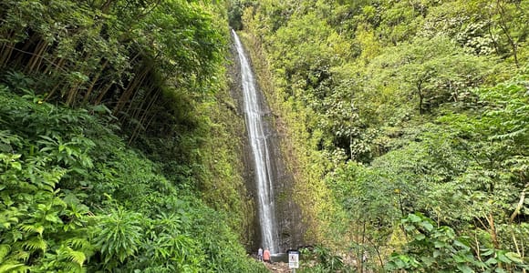 Manoa Falls eBike to Hike
