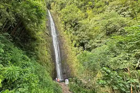 Manoa Falls eBike to Hike