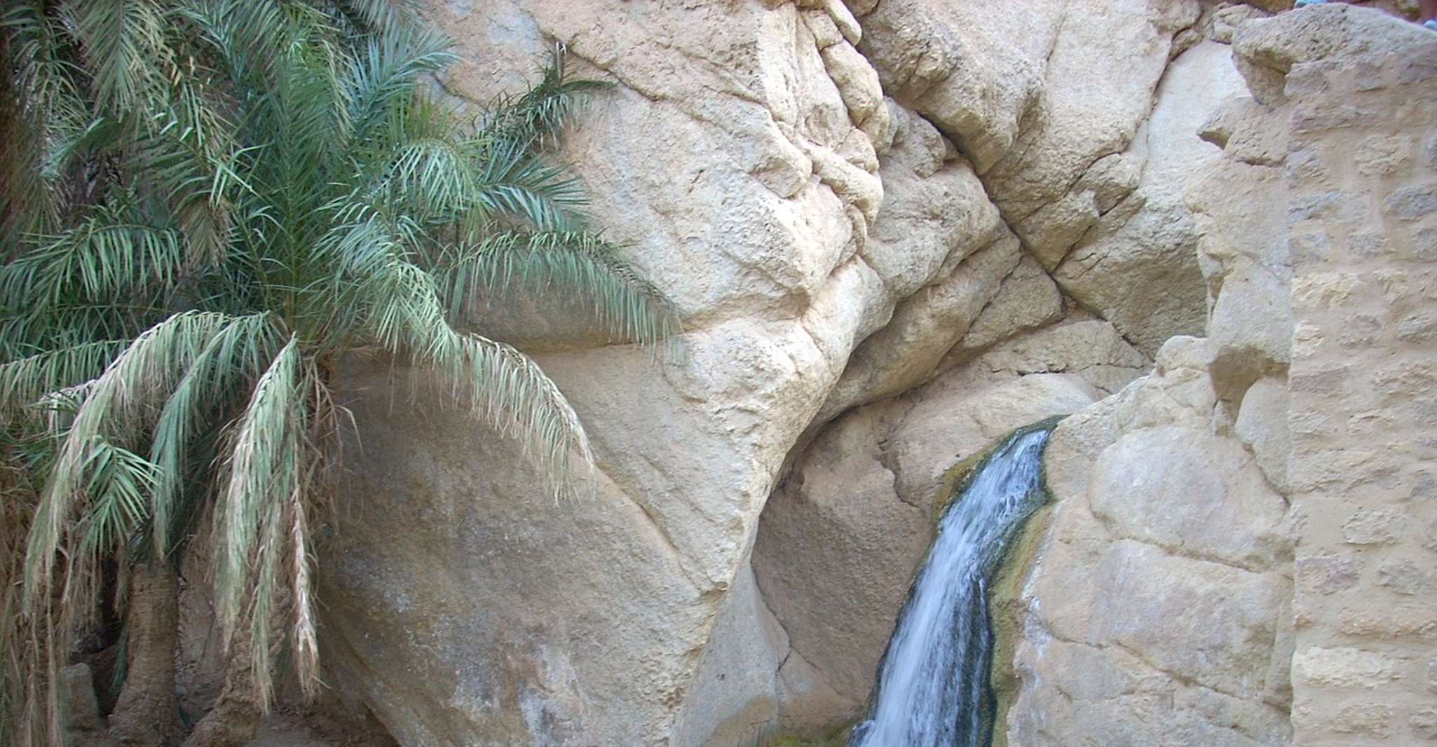 4 Gün Tur Tozeur, Douz, Jeep 4x4, Camel Ride, El Jem - Hizvo