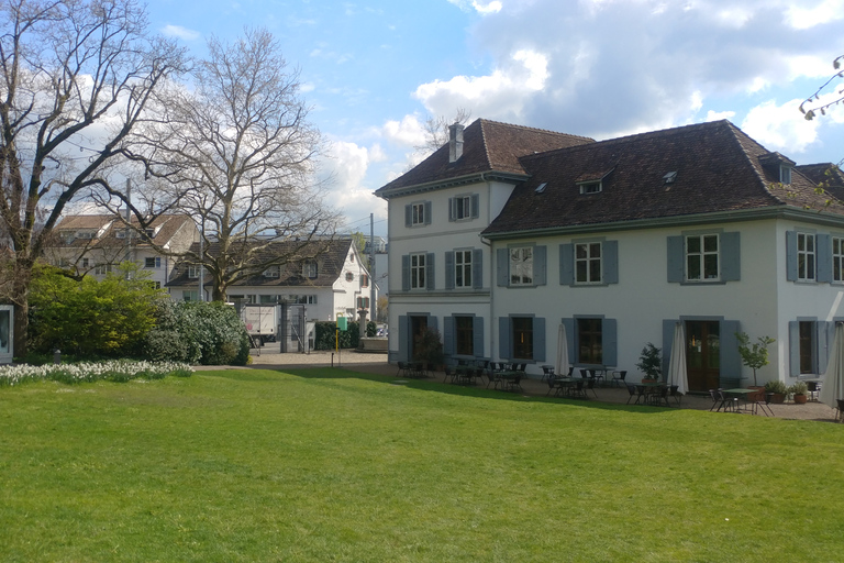 Basel: Private Walking Tour with a Local Guide