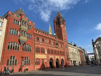 Basel, Private Walking Tour with a Local Guide - Housity
