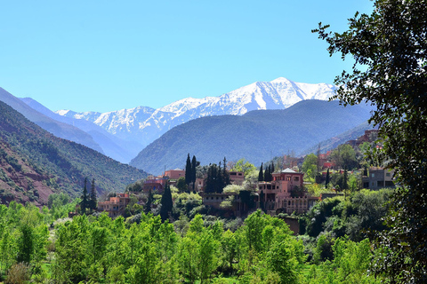 Au départ de Marrakech : Excursion d'une journée dans les montagnes de l'Atlas avec un guide