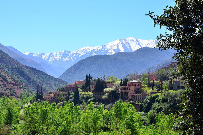 Au départ de Marrakech : Excursion d'une journée dans les montagnes de l'Atlas avec un guide