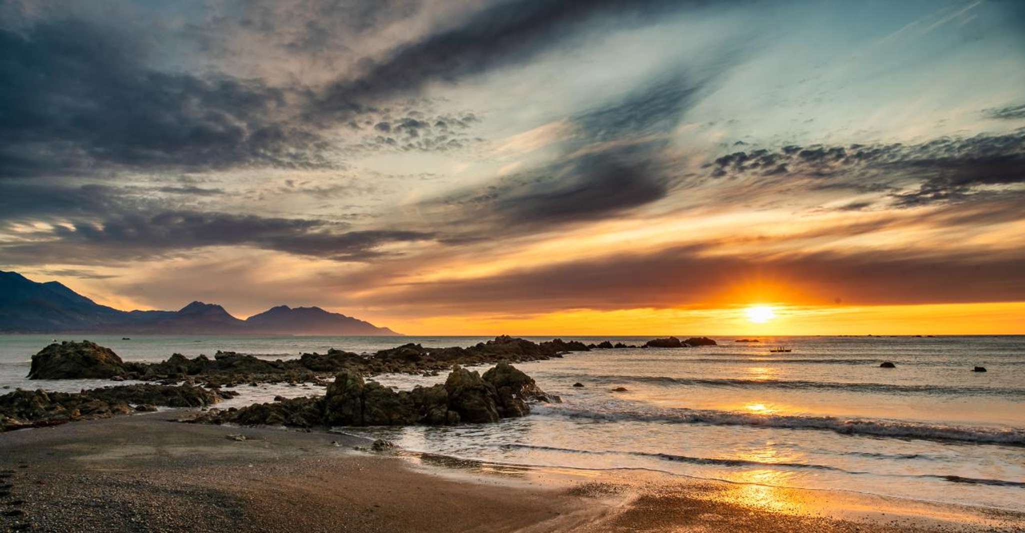 Kaikoura Dolphin Encounter Premium Day Tour - Hizvo