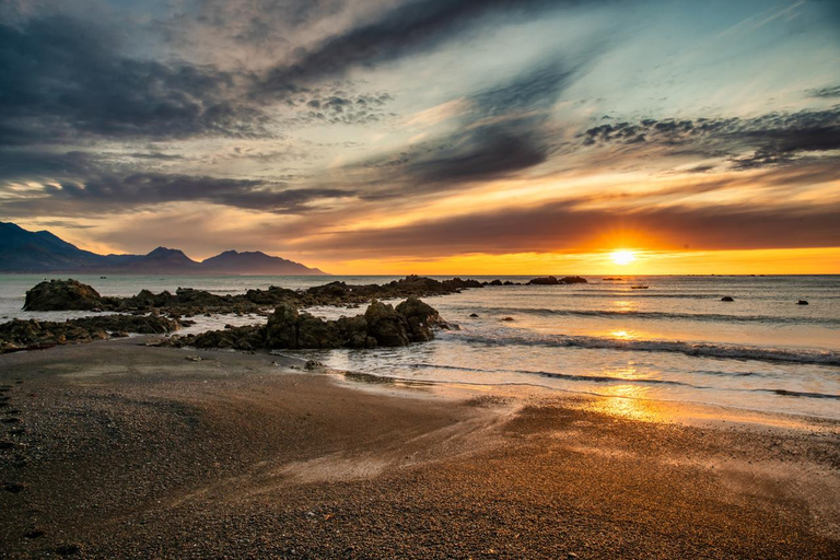 Vanuit Christchurch: Kaikoura dagtour met dolfijn cruise