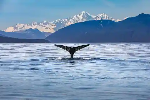 Depuis Christchurch : Excursion d'une journée à Kaikoura avec croisière pour les dauphins