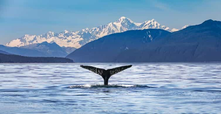 From Christchurch: Kaikoura Day Tour with Dolphin Cruise