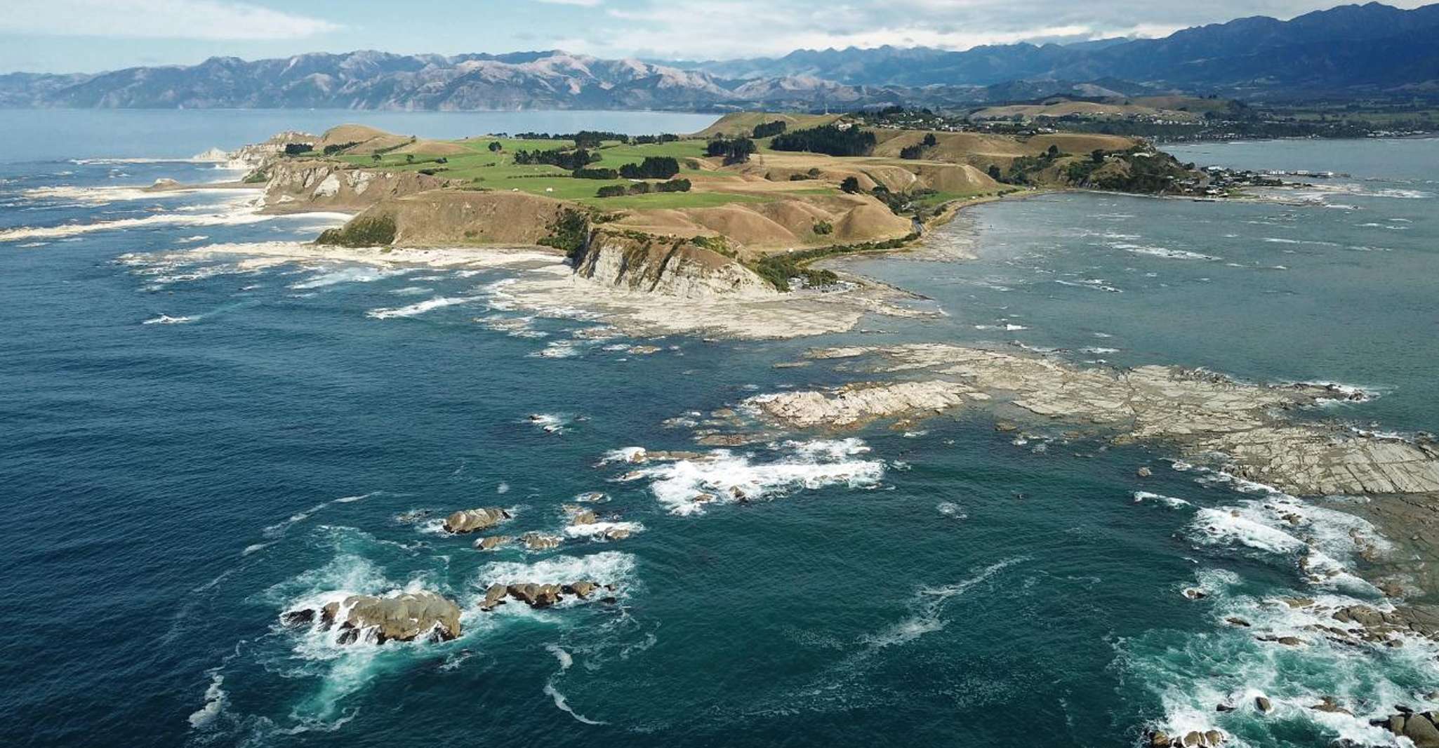 Kaikoura Dolphin Encounter Premium Day Tour - Hizvo