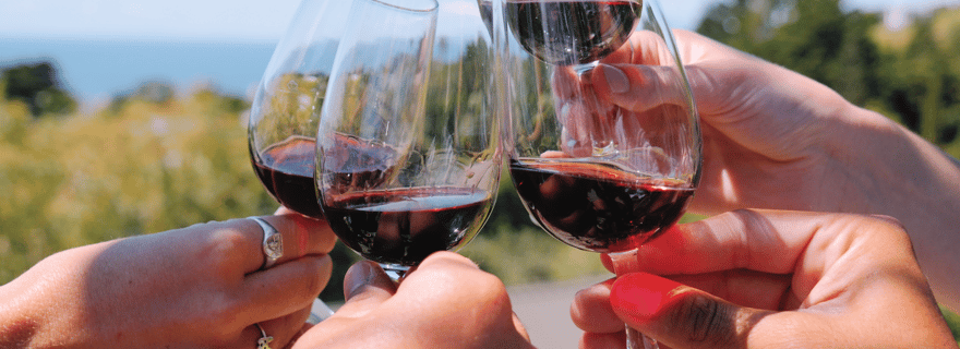 L'expérience boutique : visite des meilleures caves de l'île de Waiheke