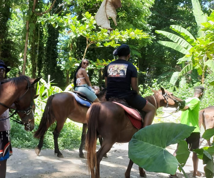 Horseback Ride, Blue Hole, Dunn's River and Tubing Tour