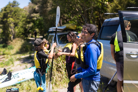 Rotorua: Waimangu Valley Walk and Steaming Cliffs Kayak TourRotorua: Guided Waimangu Walk and Steaming Cliffs Kayak Tour