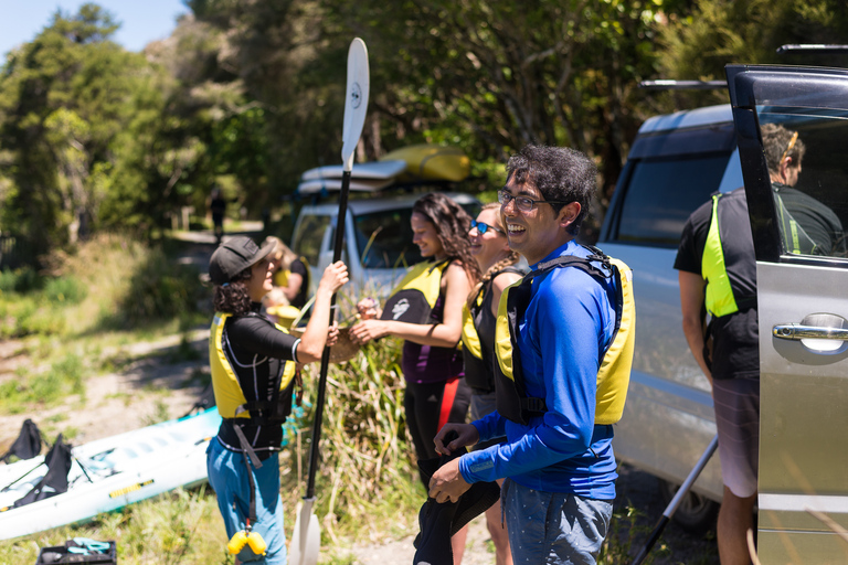 Rotorua: Guided Waimangu Walk and Steaming Cliffs Kayak Tour