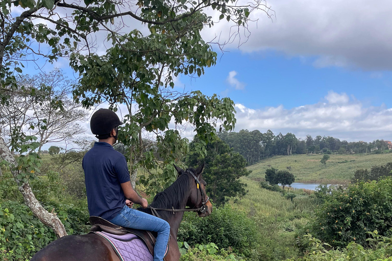 Nairóbi: Passeio a cavalo pela floresta de Karura