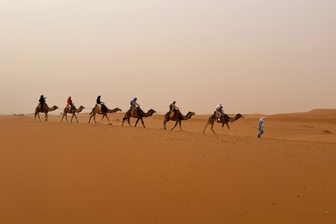 Au départ de Marrakech : Circuit de 3 jours dans le désert à AgadirTente de camping de luxe