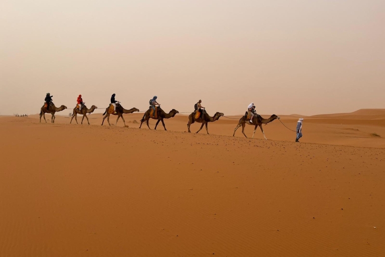 Desde Marrakech Excursión de 3 días por el desierto hasta AgadirTienda de campaña estándar