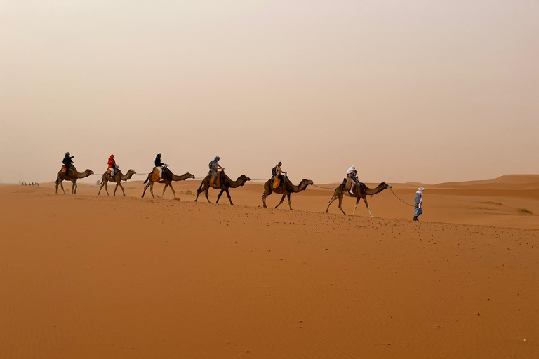 Z Marrakeszu: 3-dniowa wycieczka po pustyni do AgadiruLuksusowy namiot kempingowy