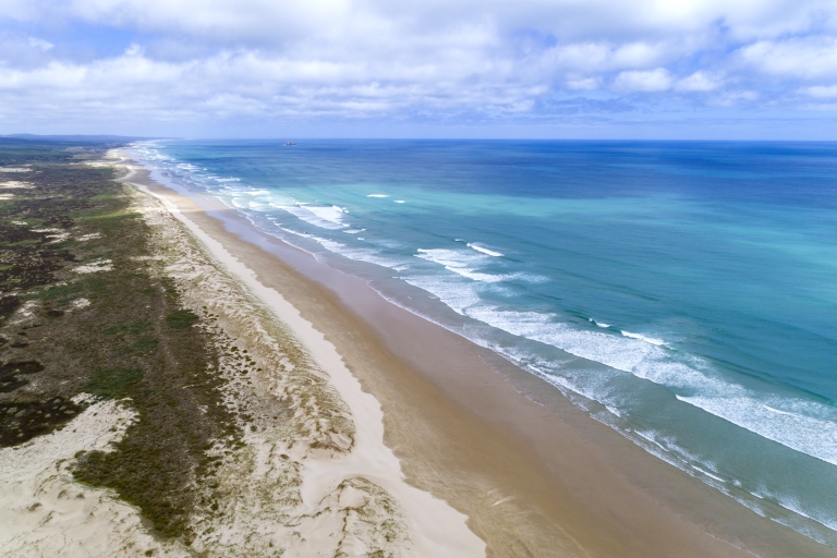 De Paihia: Cape Reinga et Ninety Mile Beach avec déjeuner