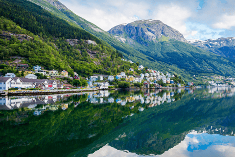 Guidad tur till Hardangerfjorden, vattenfall, färjeöverfart